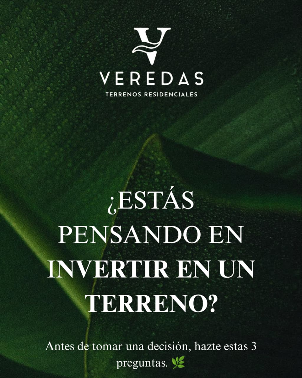 HUANACAXTLE EN VEREDAS DEL MAR